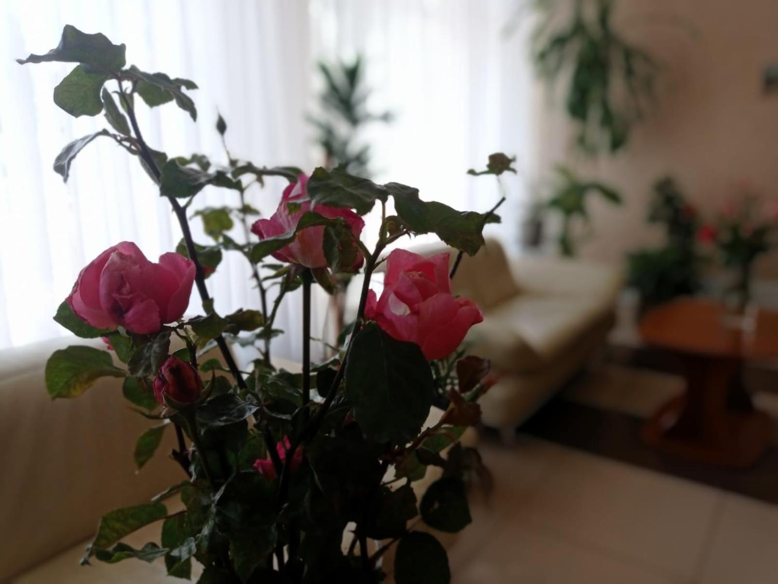 Volyn Hotel Ludmir โวโลดิเมียร์-โวลินสกาเย ภายนอก รูปภาพ